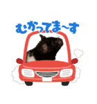 ハムスター 日常編9（個別スタンプ：37）