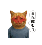 面白にゃんこ(酒)（個別スタンプ：2）