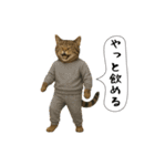 面白にゃんこ(酒)（個別スタンプ：6）