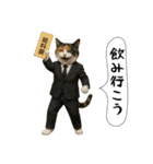 面白にゃんこ(酒)（個別スタンプ：7）