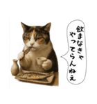 面白にゃんこ(酒)（個別スタンプ：10）