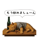 面白にゃんこ(酒)（個別スタンプ：17）