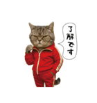 面白にゃんこ(酒)（個別スタンプ：18）