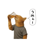 面白にゃんこ(酒)（個別スタンプ：19）
