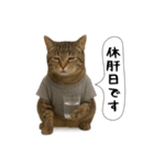 面白にゃんこ(酒)（個別スタンプ：24）