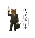 面白にゃんこ(酒)（個別スタンプ：25）