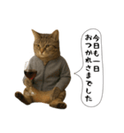 面白にゃんこ(酒)（個別スタンプ：28）