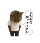 面白にゃんこ(酒)（個別スタンプ：29）