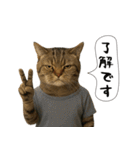面白にゃんこ(酒)（個別スタンプ：31）
