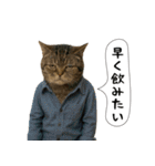 面白にゃんこ(酒)（個別スタンプ：32）