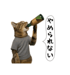 面白にゃんこ(酒)（個別スタンプ：33）