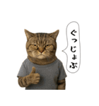 面白にゃんこ(酒)（個別スタンプ：35）