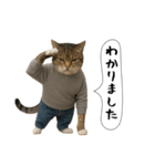 面白にゃんこ(酒)（個別スタンプ：37）