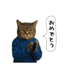 面白にゃんこ(酒)（個別スタンプ：40）