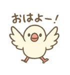 ゆるっと文鳥の日常スタンプ（個別スタンプ：1）