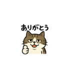 ゆるっとブチャカワ猫スタンプ（個別スタンプ：2）