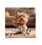 よーきーのツッコミトーク♪（個別スタンプ：4）