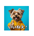よーきーのツッコミトーク♪（個別スタンプ：5）