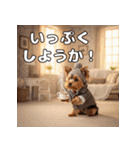 よーきーのツッコミトーク♪（個別スタンプ：9）