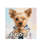 よーきーのツッコミトーク♪（個別スタンプ：13）