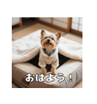 よーきーのツッコミトーク♪（個別スタンプ：14）