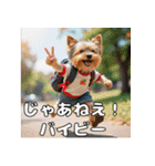 よーきーのツッコミトーク♪（個別スタンプ：15）