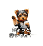 よーきーのツッコミトーク♪（個別スタンプ：19）
