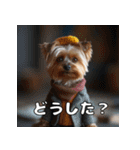 よーきーのツッコミトーク♪（個別スタンプ：21）