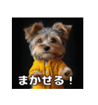 よーきーのツッコミトーク♪（個別スタンプ：29）