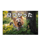 よーきーのツッコミトーク♪（個別スタンプ：30）
