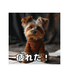 よーきーのツッコミトーク♪（個別スタンプ：37）