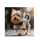 よーきーのツッコミトーク♪（個別スタンプ：38）