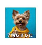 よーきーのツッコミトーク♪（個別スタンプ：40）