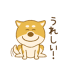 しばいぬさん（赤）（個別スタンプ：1）