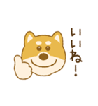 しばいぬさん（赤）（個別スタンプ：2）