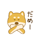 しばいぬさん（赤）（個別スタンプ：5）