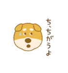 しばいぬさん（赤）（個別スタンプ：7）