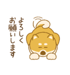 しばいぬさん（赤）（個別スタンプ：9）