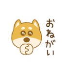 しばいぬさん（赤）（個別スタンプ：10）