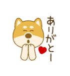 しばいぬさん（赤）（個別スタンプ：12）
