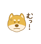 しばいぬさん（赤）（個別スタンプ：13）