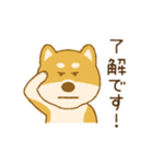 しばいぬさん（赤）（個別スタンプ：14）