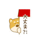 しばいぬさん（赤）（個別スタンプ：15）