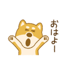 しばいぬさん（赤）（個別スタンプ：17）