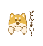 しばいぬさん（赤）（個別スタンプ：18）