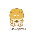 しばいぬさん（赤）（個別スタンプ：21）