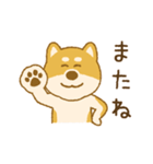 しばいぬさん（赤）（個別スタンプ：22）