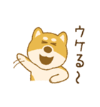 しばいぬさん（赤）（個別スタンプ：23）
