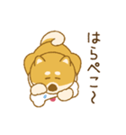 しばいぬさん（赤）（個別スタンプ：27）