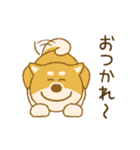 しばいぬさん（赤）（個別スタンプ：29）